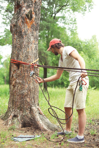 istock Man prepares the equipment fixes secures the rope to the tree for slacklining 1029732066