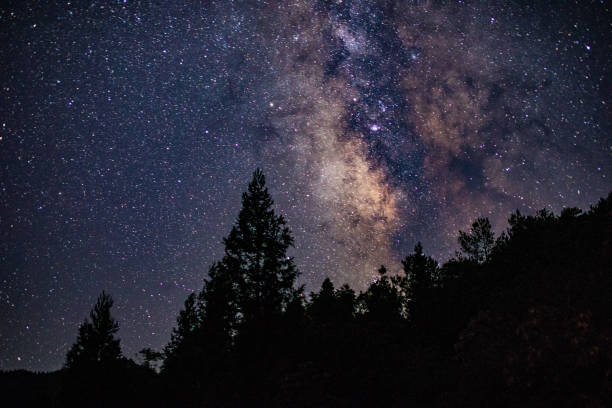 istock Milky Way Galaxy with tree in Mountain Forest 1029738344