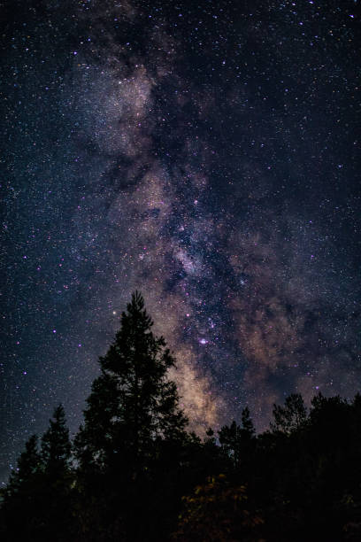 istock Milky Way Galaxy with tree in Mountain Forest 1029738520