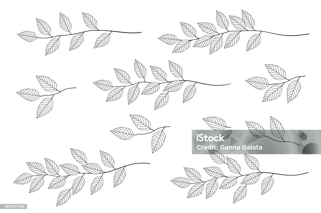branches with leaves set hand drawn isolated branches with leaves set Leaf stock vector