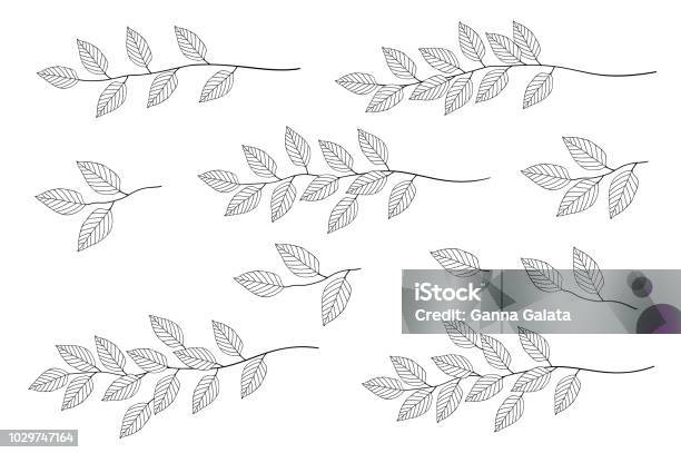 Branches With Leaves Set Stock Illustration - Download Image Now - Leaf, Branch - Plant Part, Illustration