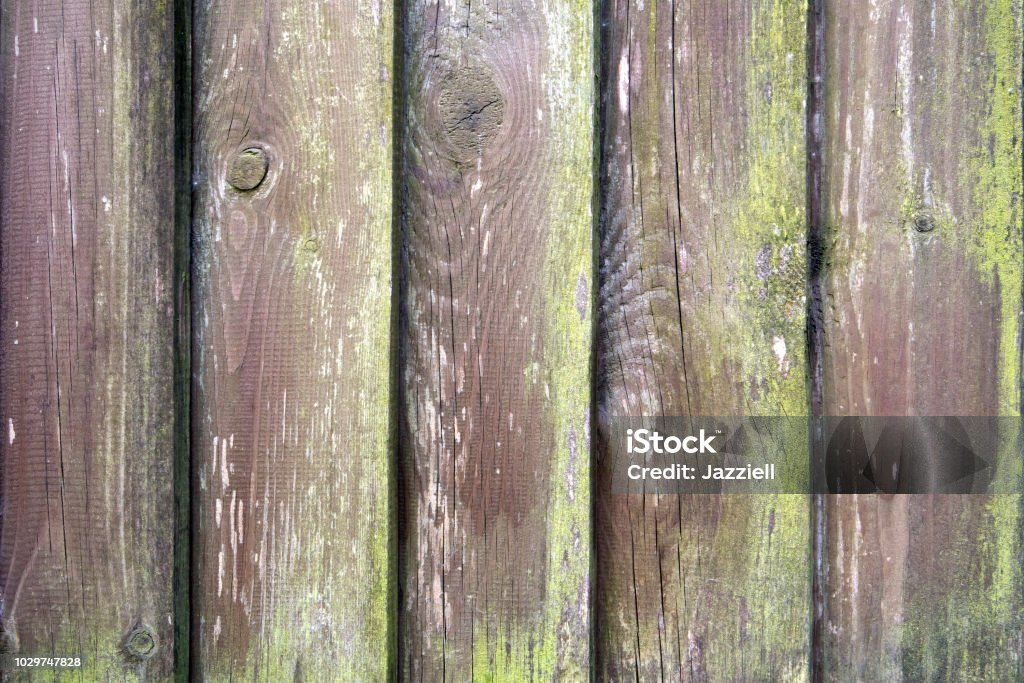 Старый формованный деревянный забор, заросший зеленым мхом - Стоковые фото Деревянная терраса роялти-фри