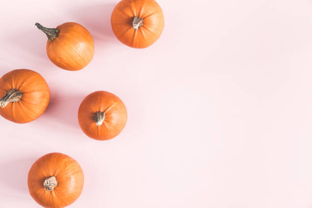 istock Autumn composition. Pumpkins on pastel pink background. Autumn, fall, halloween concept. Flat lay, top view, copy space 1029768034