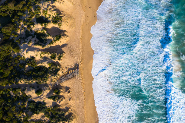 Aerial Beach Jetty Aerial photograph of an old beach jetty. mornington peninsula photos stock pictures, royalty-free photos & images