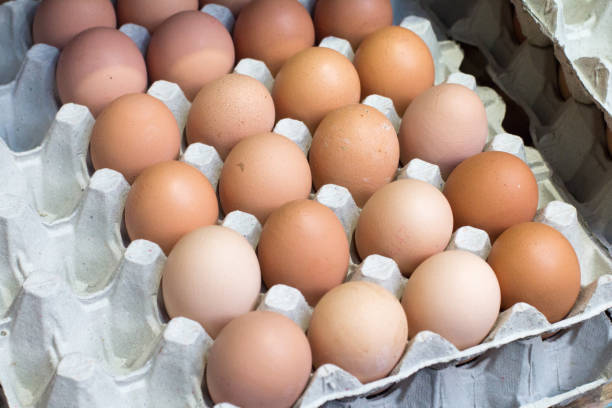 istock Chicken Eggs in Borough Market, London 1029774174