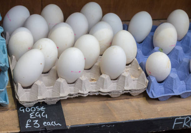 Goose Eggs for sale in Borough Market, London