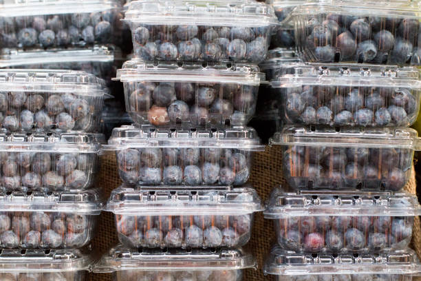 Fresh natural blueberries in plastic packaging isolated