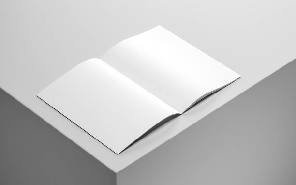 Blank magazine, album or book mockup