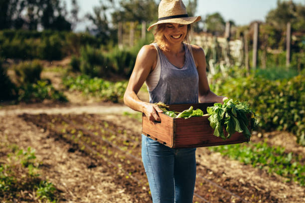 istock Farmer with freshly harvested vegetables in garden 1029786030