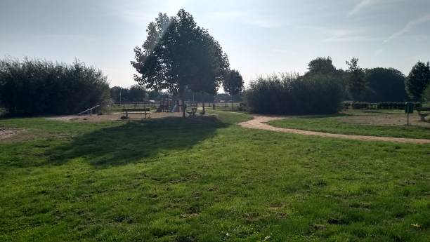 istock Summer park scenic landscape 1029786216