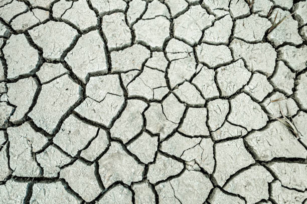 istock Dry Cracked Lake Bed in California Desert 1029791448