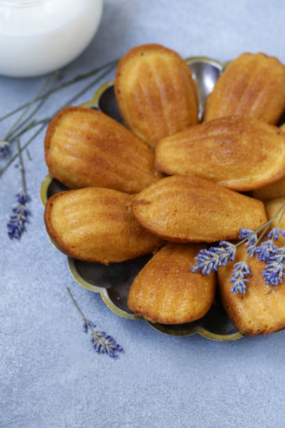 istock French cookies Madeleine 1029791998