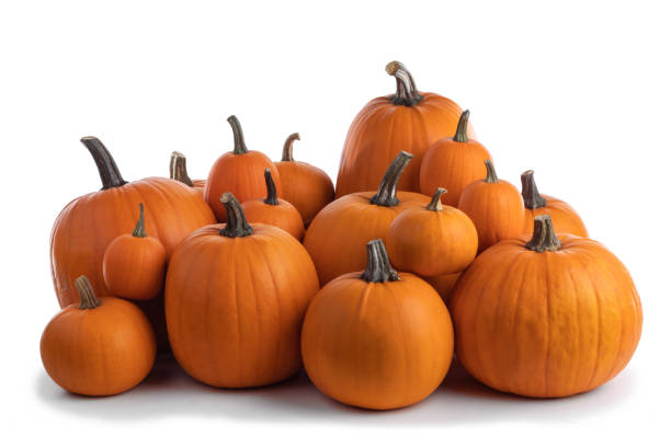 istock Heap of orange pumpkins 1029794880