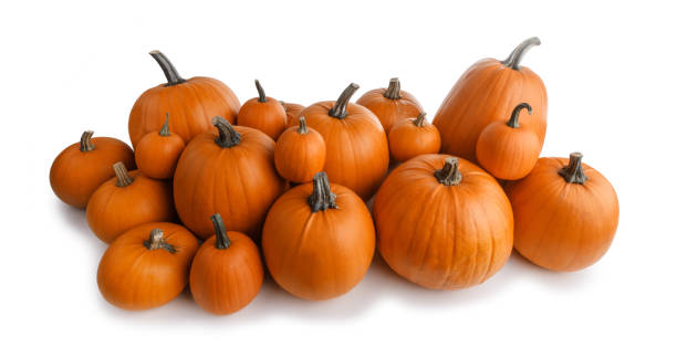 istock Heao of orange pumpkins 1029794910