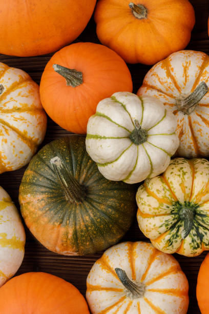 istock Pumpkins on wooden background 1029795010