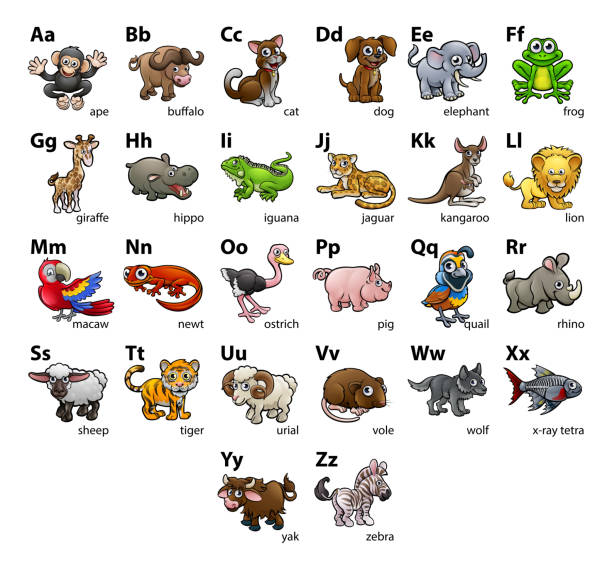 동물 알파벳 차트 설정 - computer graphic multi colored zoo single word stock illustrations