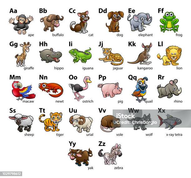 Animal Alphabet Chart Set Stock Illustration - Download Image Now - Child,  Alphabet, Chart - iStock