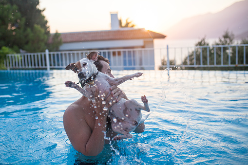 young men swim with dog in pool