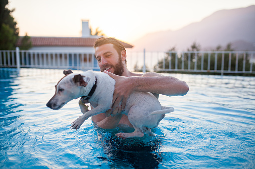 young men swim with dog in pool