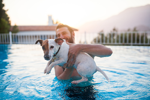 young men swim with dog in pool