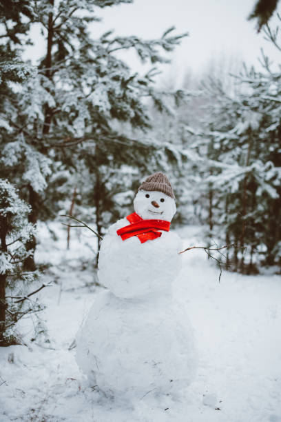 istock Snowman standing in winter landscape 1029811408