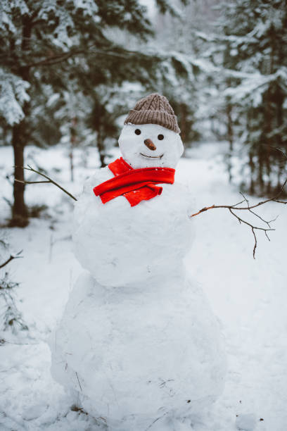 istock Snowman standing in winter landscape 1029811436
