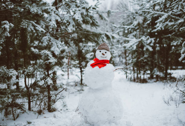 istock Snowman standing in winter landscape 1029811450