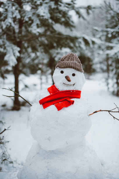 istock Snowman standing in winter landscape 1029811486