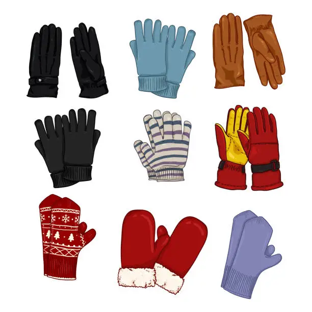 Vector illustration of Vector Set of Cartoon Illustrations - Gloves and Mittens