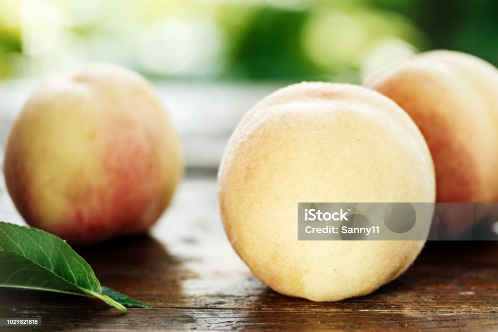 ripe peaches on a blurred green background ripe peaches on a blurred green background. cultivation of organic fruits Agriculture Stock Photo