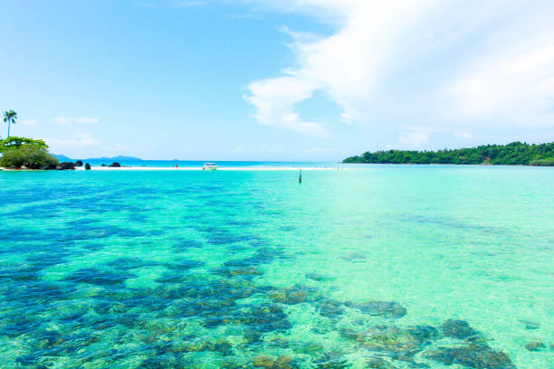 istock Beauty Blue island with blue sky in thailand 1029823038