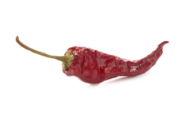 istock dried pepper and spices on white background 1029829696
