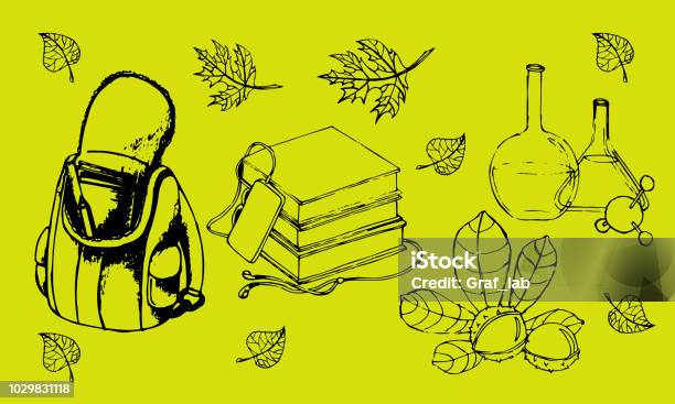 School Graphic Vector Set Education And Study Stock Illustration - Download Image Now - Apple - Fruit, Art, Back