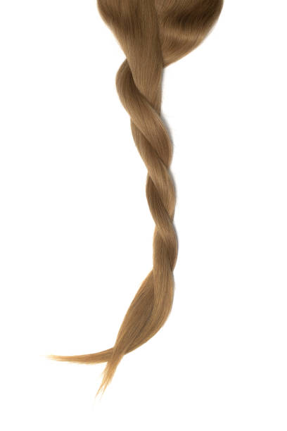 istock Braided brown hair isolated on white background 1029845750
