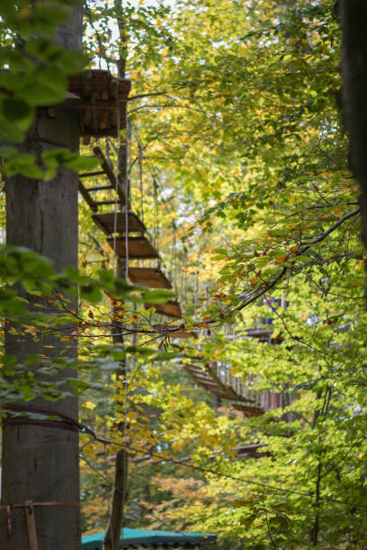 istock Rope bridge at adventure climbing park 1029851682