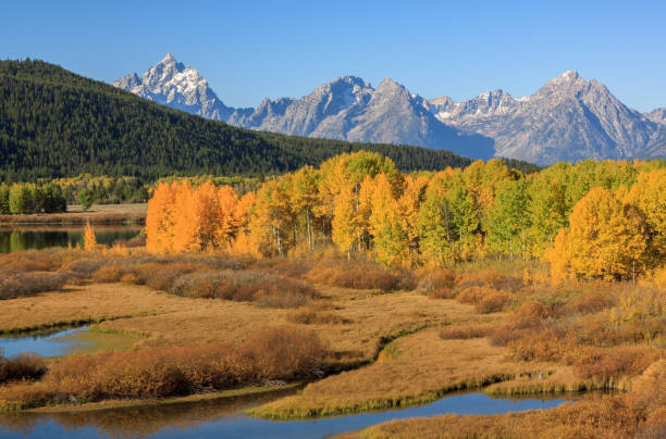 istock Scenic Teton Landscape in Fall 1029851844