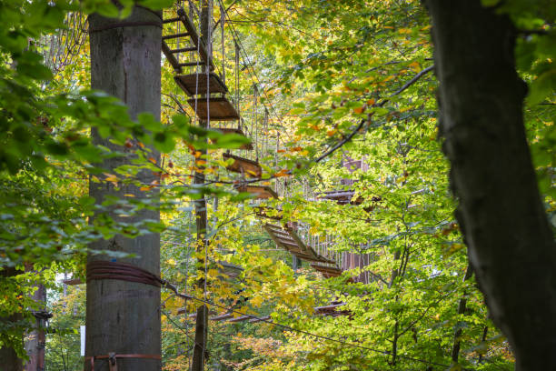 istock Rope bridge at adventure climbing park 1029851900
