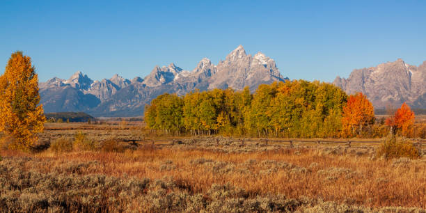 istock Scenic Teton Landscape in Fall 1029852144