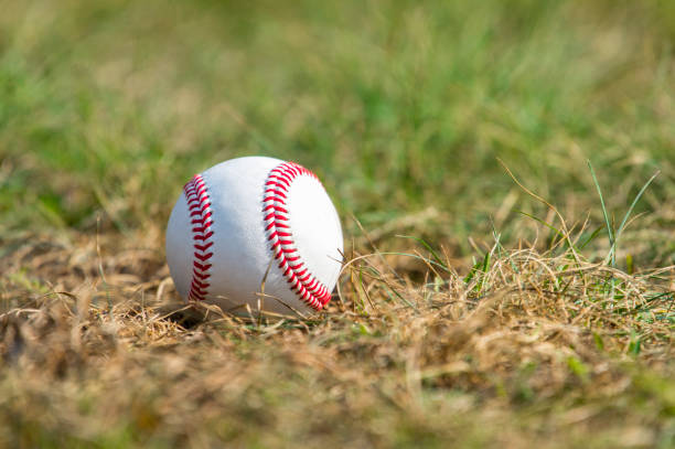 biały baseball na zielonej trawie - baseball baseball diamond grass baseballs zdjęcia i obrazy z banku zdjęć