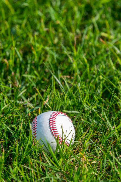 biały baseball na świeżej zielonej trawie - baseball baseball diamond grass baseballs zdjęcia i obrazy z banku zdjęć
