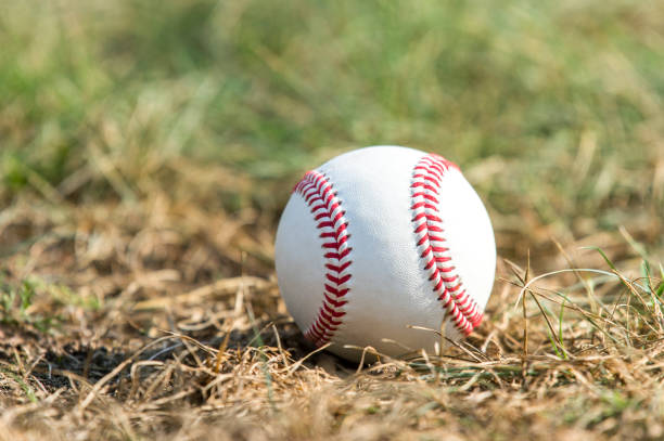 biały baseball na zielonej trawie - baseball baseball diamond grass baseballs zdjęcia i obrazy z banku zdjęć