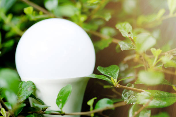 istock Energy saving LED BULB ECO With the environment 1029866208