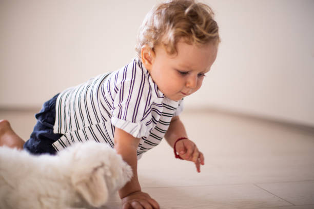 istock Baby play with the dog 1029871200