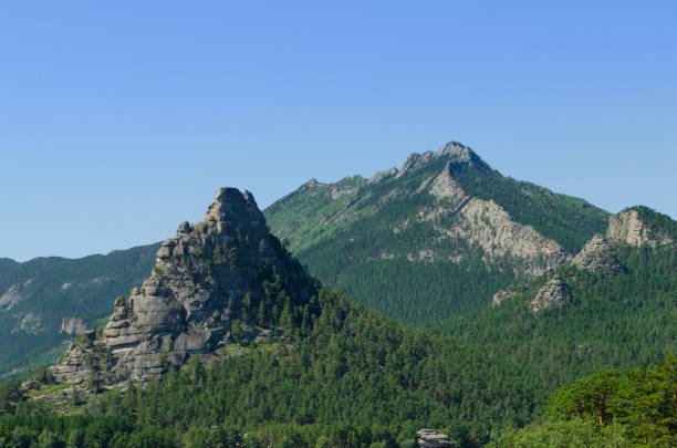 istock Mountain landscape, mountains covered with pine forest. 1029874110