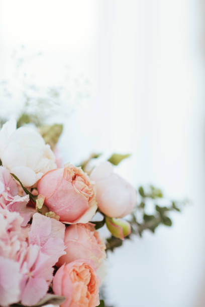 istock Beautiful blossoming flowers. 1029879780