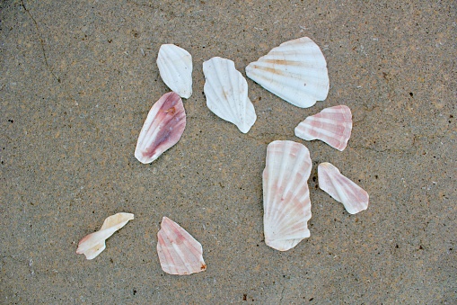 Pink used chewing gum spit out on the pavement, step on, pollution
