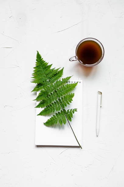 istock Office supplies flat lay on white. Busines concept 1029895890