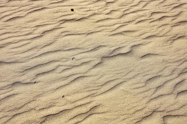 istock golden sand at the beach 1029902106