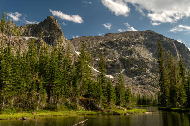 istock High mountain lake with forest and peaks 1029905900
