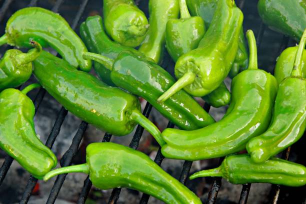 istock Pimientos de Padron on the garden grill 1029909456